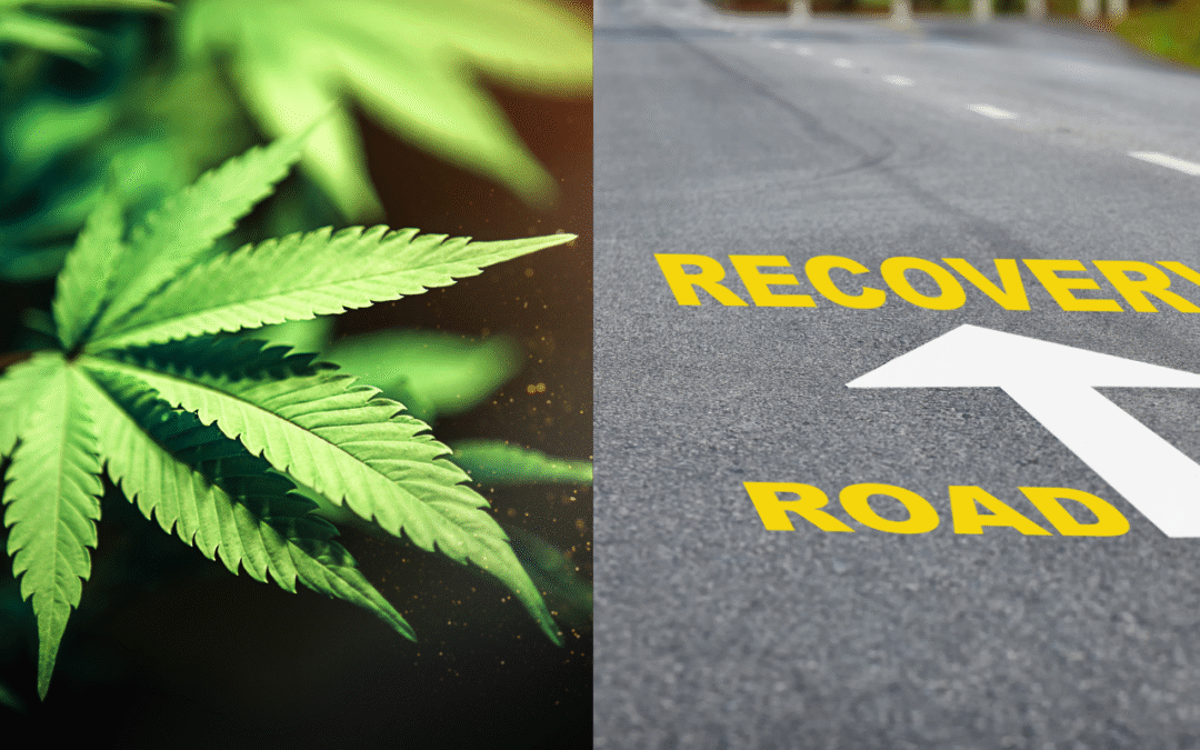 cannabis retail survival strategies