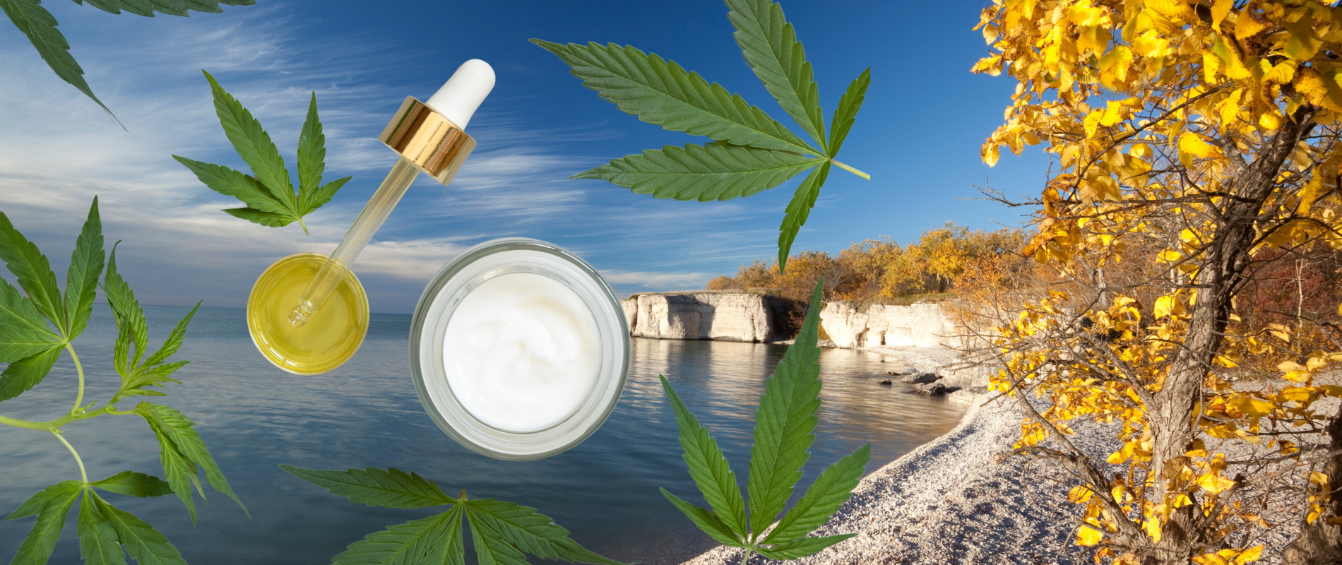 Homegrown Cannabis in Manitoba
