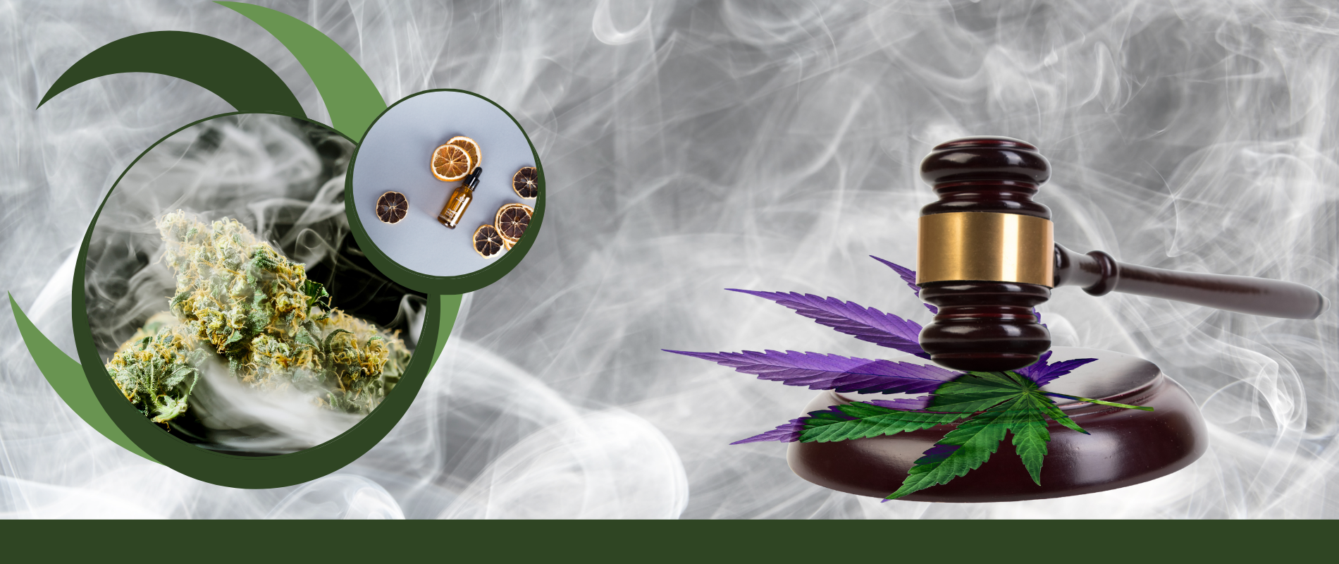 A gavel rests on a surface with purple cannabis leaves, surrounded by smoke. On the left, circular images of cannabis buds and dried citrus slices appear, evoking the atmosphere of a modern cannabis POS like TechPOS—streamlining inventory management within reach.
